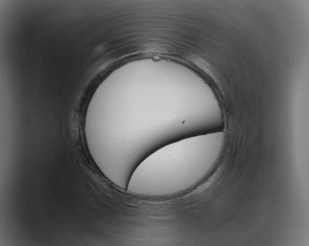 X0000089971067200706291100