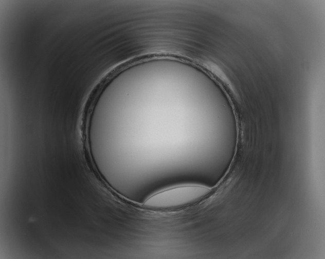 X0000089971068200706291100