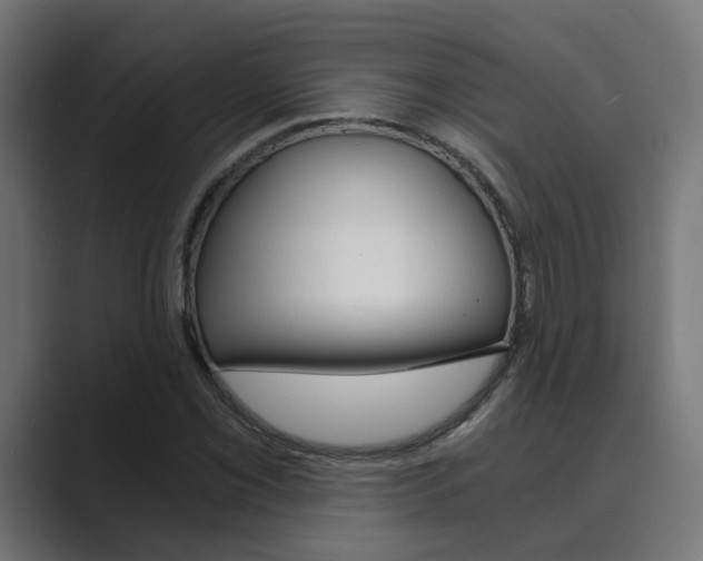 X0000089971069200706291100