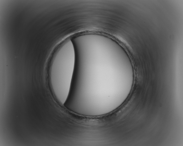 X0000089971070200706291100