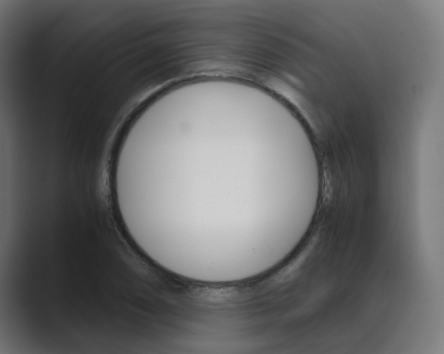 X0000089971074200706291100