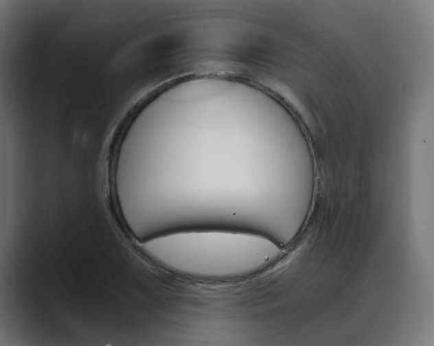 X0000089971075200706291100