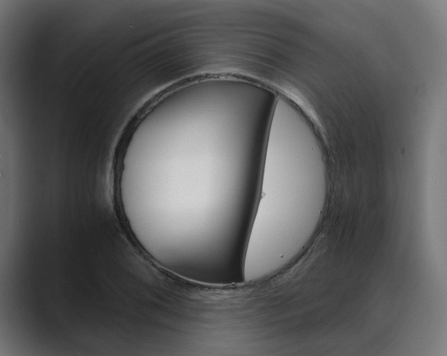 X0000089971076200706291100
