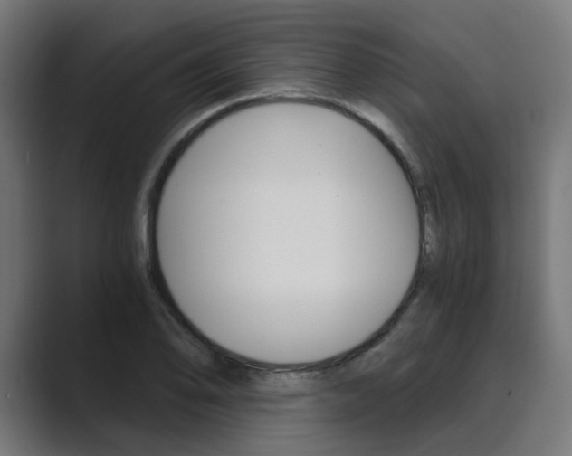 X0000089971078200706291100