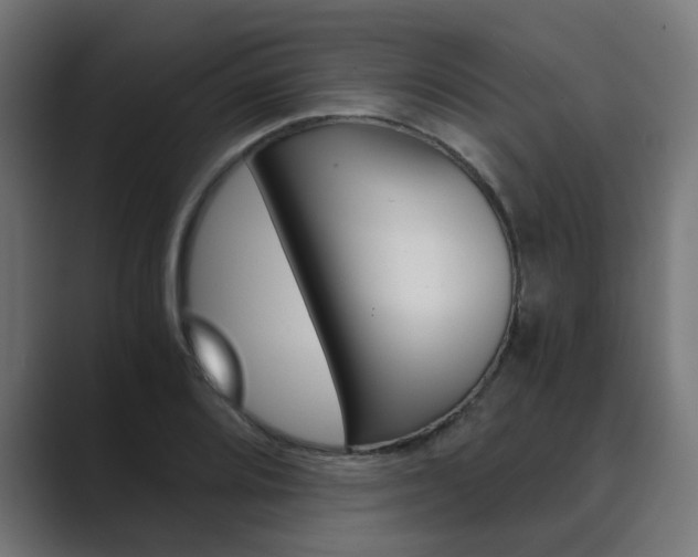 X0000089971080200706291100