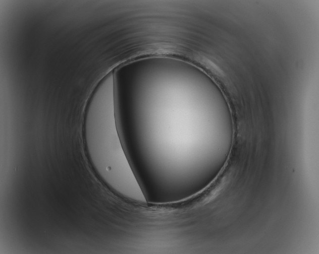 X0000089971081200706291100