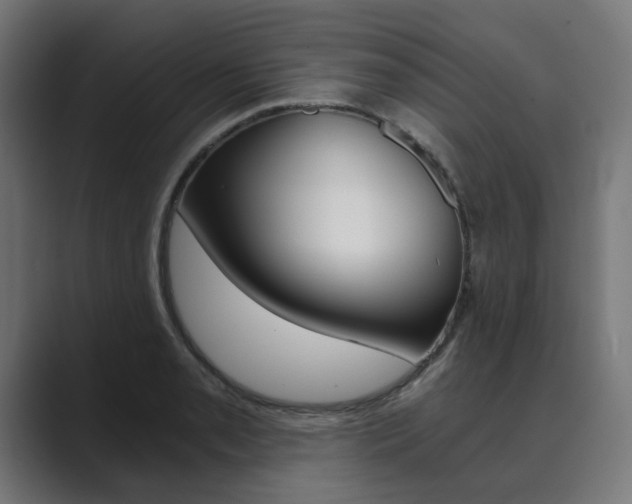X0000089971085200706291100