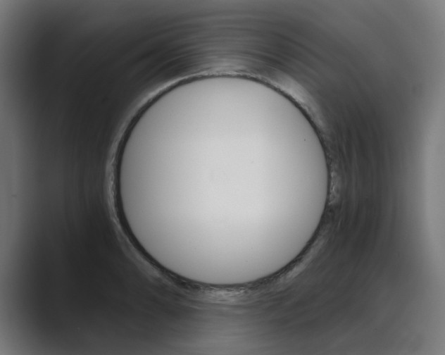 X0000089971086200706291100