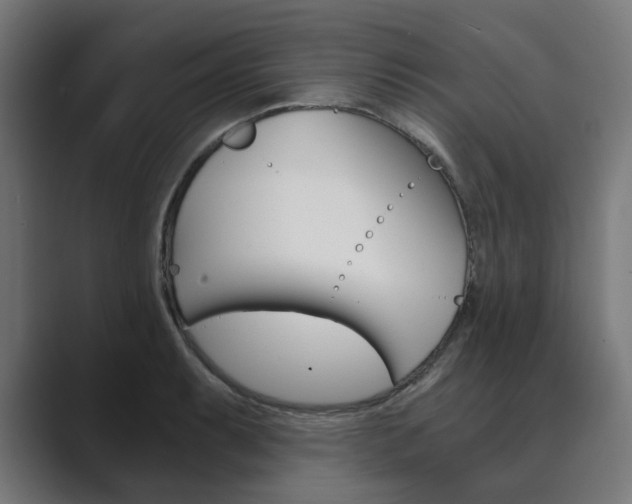 X0000089971087200706291100