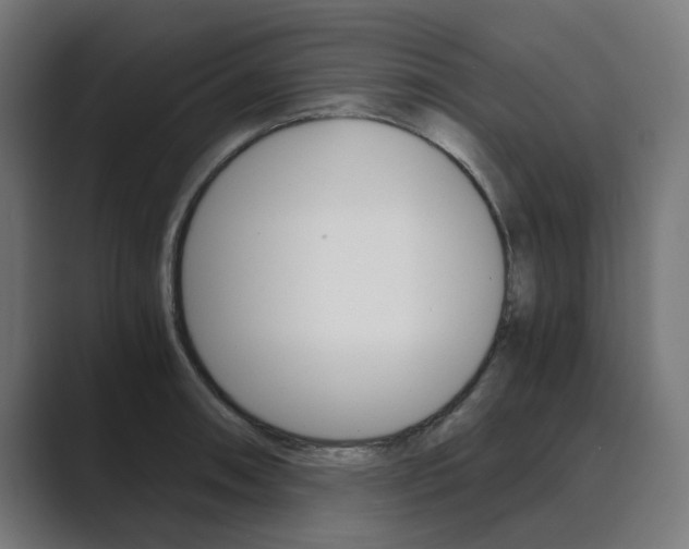X0000089971090200706291100