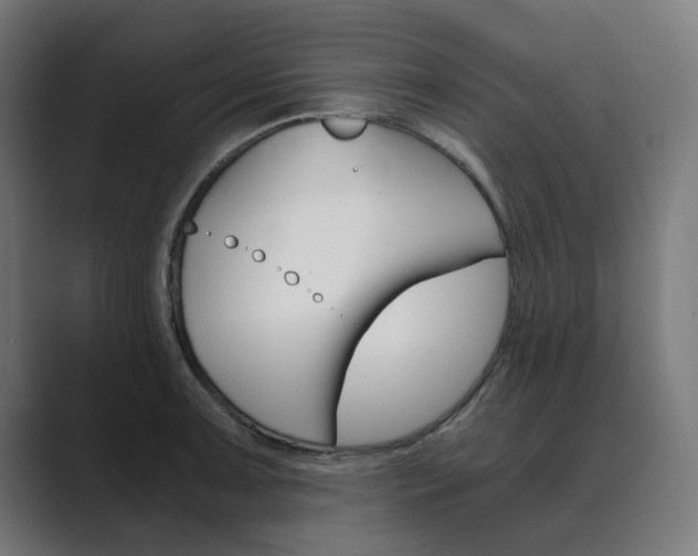 X0000089971091200706291100
