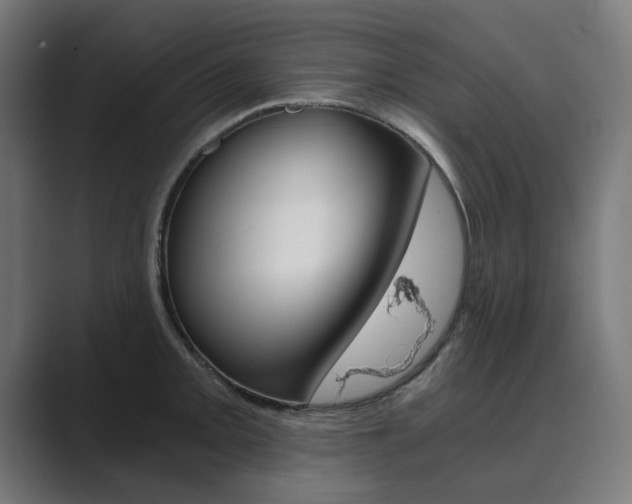 X0000089971093200706291100
