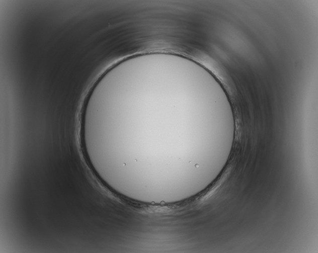 X0000089971094200706291100