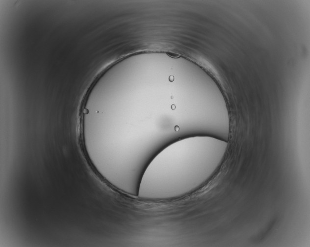 X0000089971095200706291100