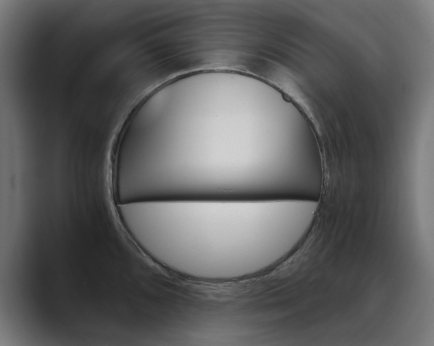 X0000089971096200706291100