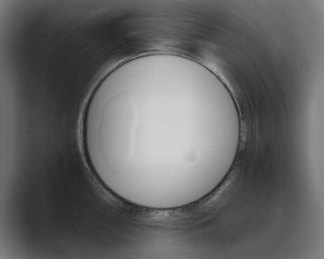 X0000089971098200706291100