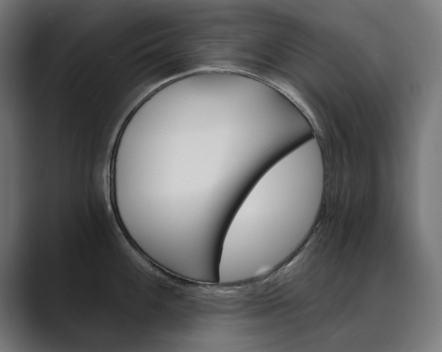 X0000089971100200706291100