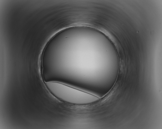X0000089971102200706291100