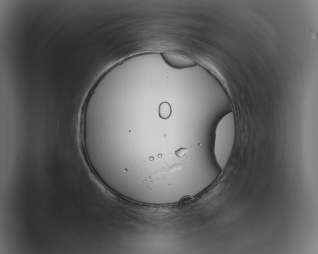 X0000089971103200706291100