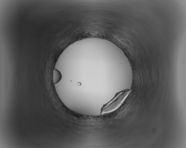 X0000089971105200706291059
