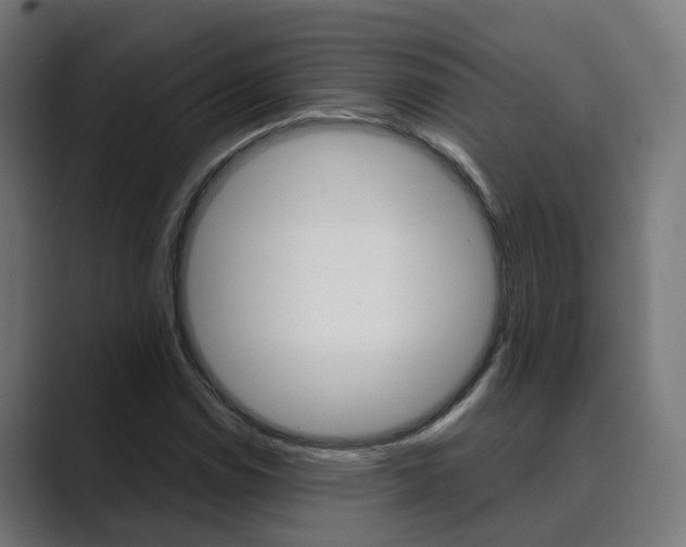 X0000089971114200706291059