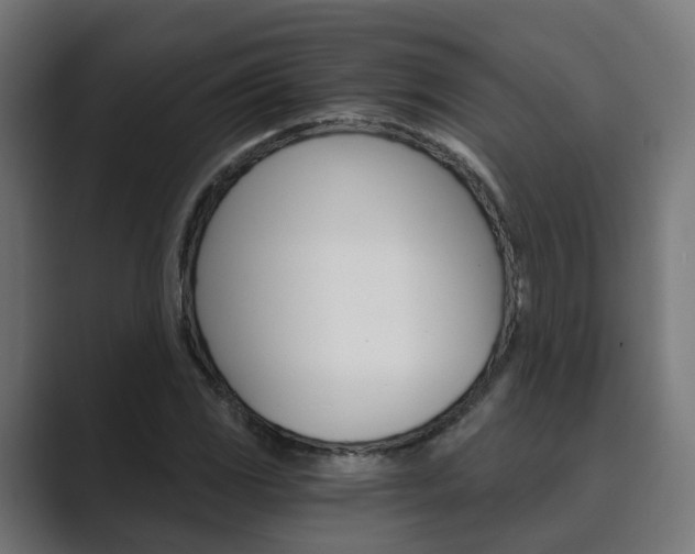 X0000089971117200706291059