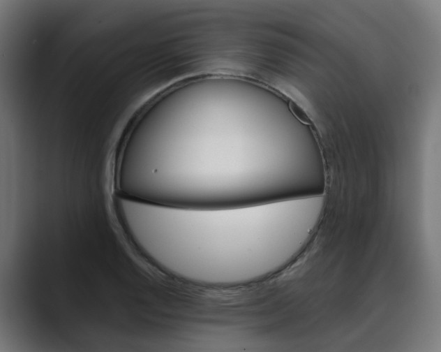 X0000089971128200706291059