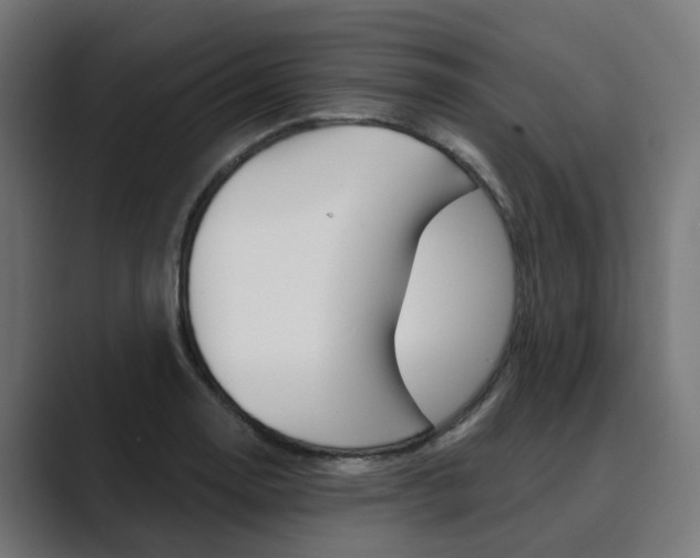 X0000089971130200706291059