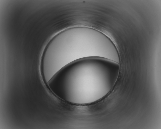 X0000089971136200706291059