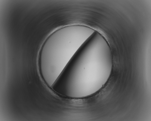X0000089971142200706291100