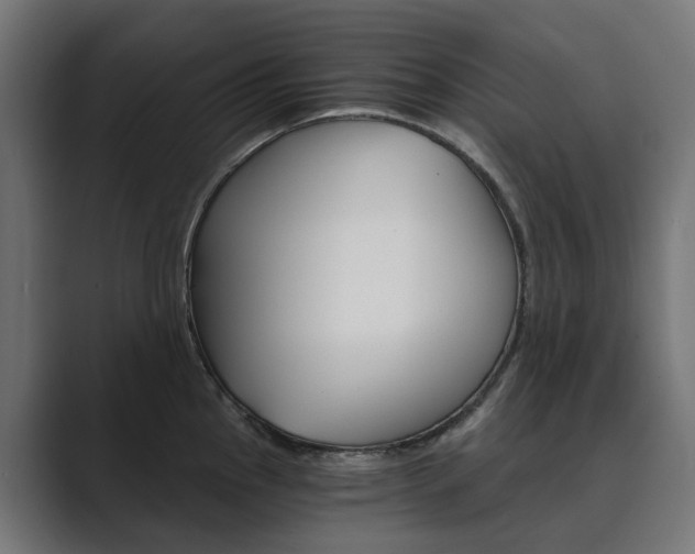 X0000089971145200706291100