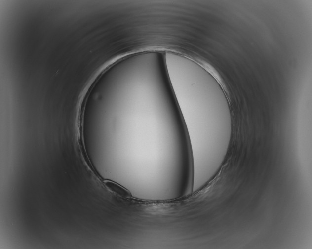 X0000089971148200706291100