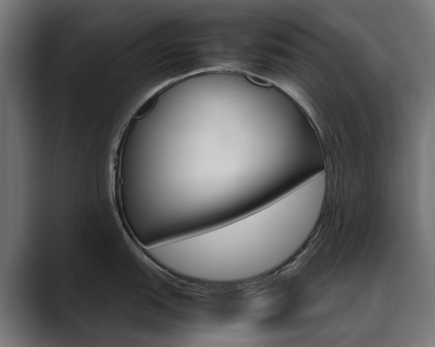 X0000089971151200706291100