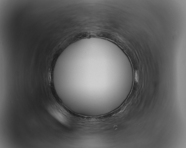 X0000089971155200706291059