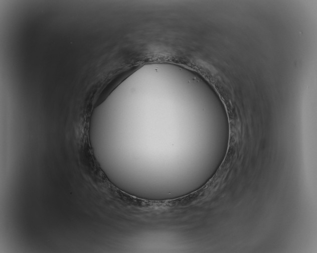 X0000089971157200706291059