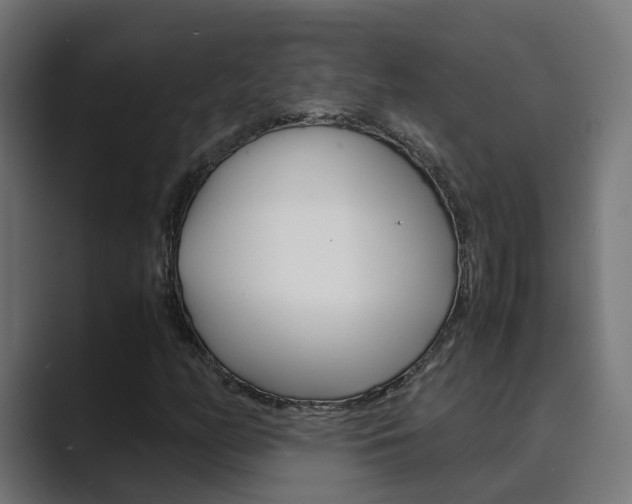 X0000089971158200706291059