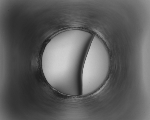 X0000089971163200706291059