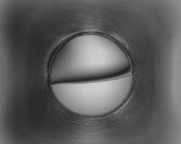 X0000089971167200706291059