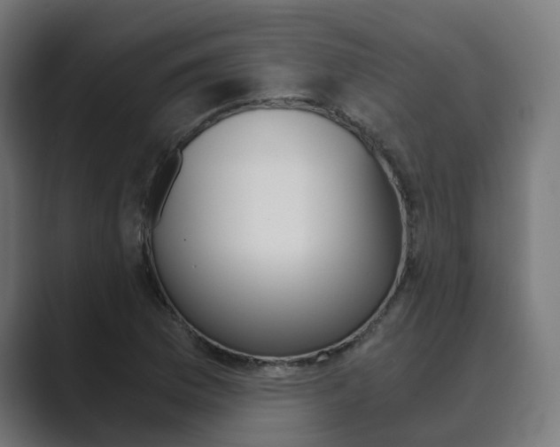 X0000089971169200706291059