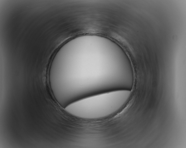 X0000089971170200706291059
