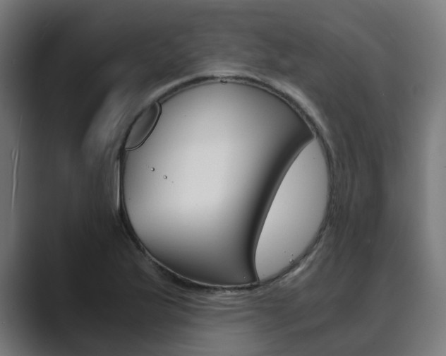 X0000089971175200706291059