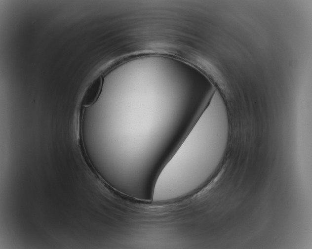 X0000089971180200706291059