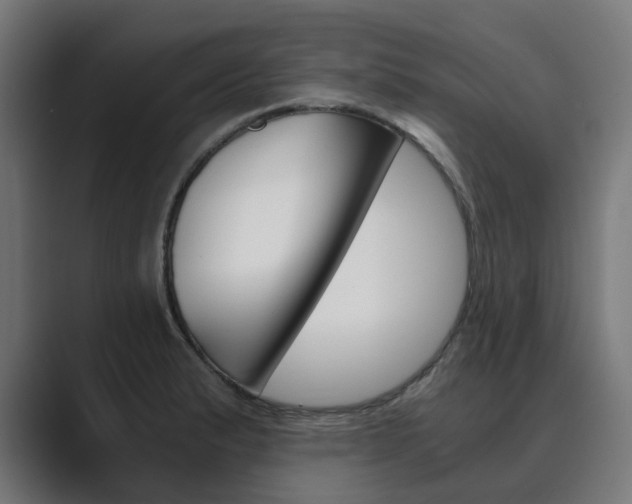 X0000089971183200706291059