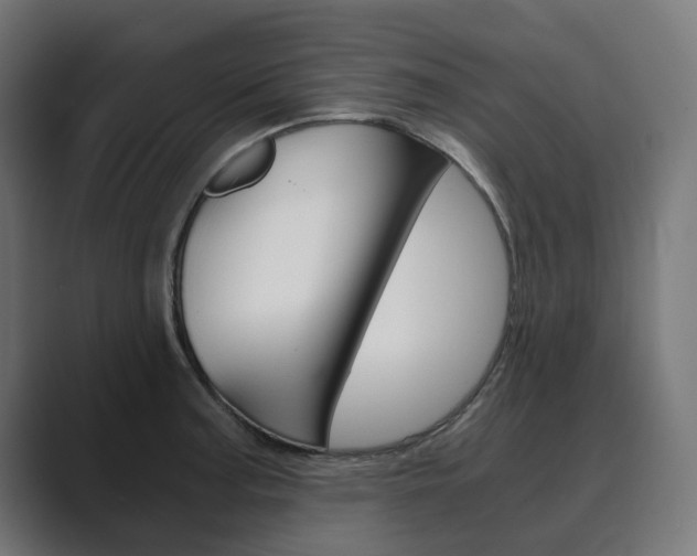 X0000089971187200706291059