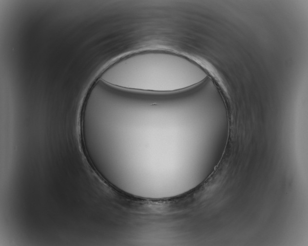 X0000089971191200706291059