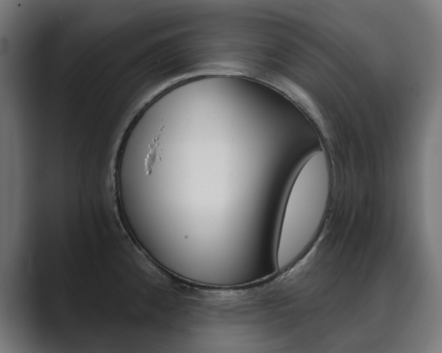 X0000089971192200706291059