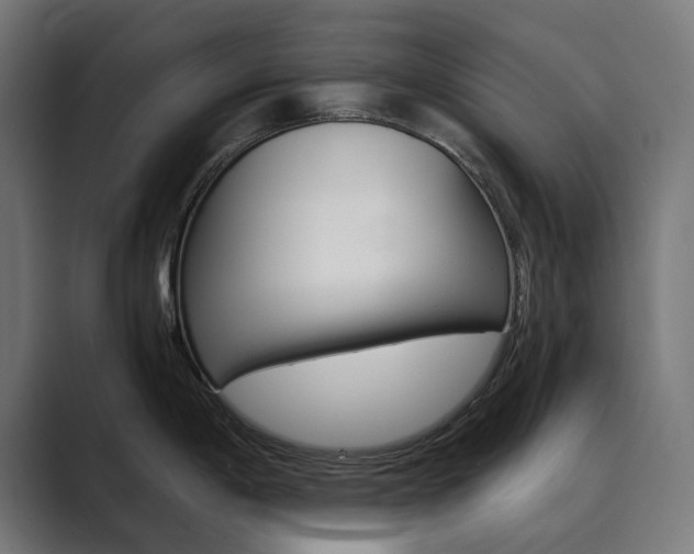 X0000089971198200706291059