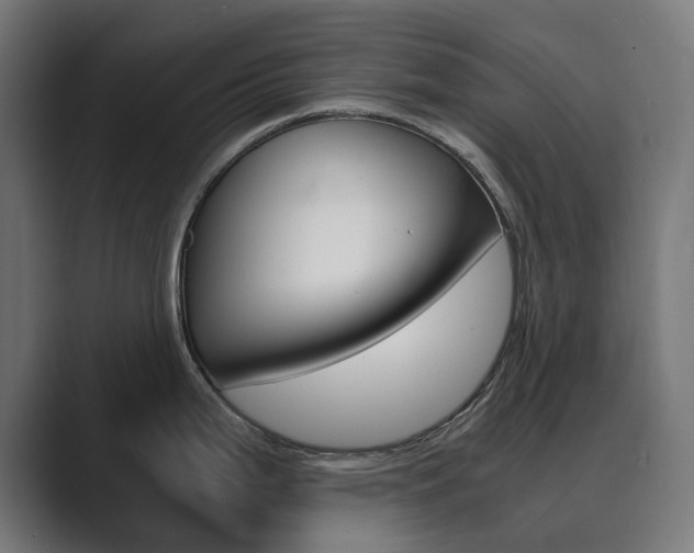X0000089971199200706291059