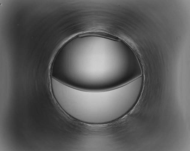 X0000089971200200706291059