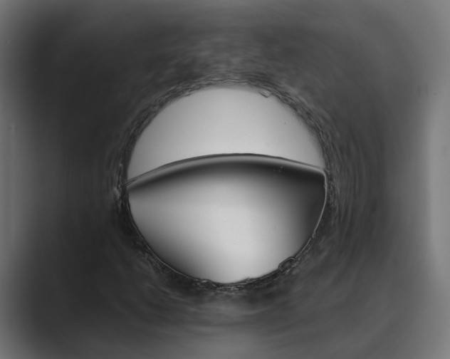 X0000089971206200706291058